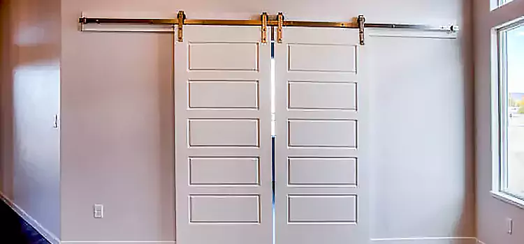 Glass Barn Door with Installation Hardware Kit Pleasant Hill