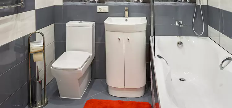 Hansgrohe Shaving Mirror Pleasant Hill